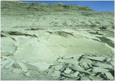 Shampoo für blondes oder empfindliches Haar (250 ml) - Argital grüne Tonerde