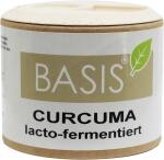 B560_Basis_Curcuma_Lacto_fementiert_100_thumb_150x150