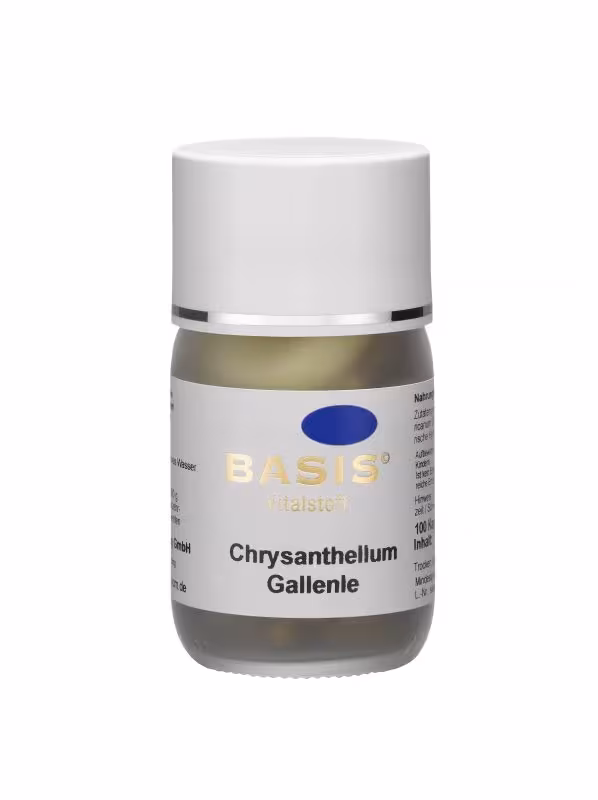 Chrysanthellum Gallenle Kapseln