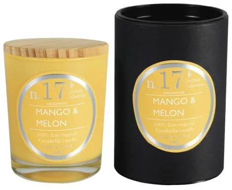 Diffusor Nr.17 Mango & Melon 100ml - Kerze im gleichem Duft