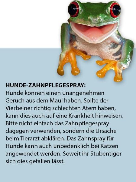 MI FIDO Hunde-Zahn-Pflege-Spray (50 ml)