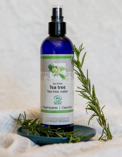 Teebaum Blütenwasser (250 ml)