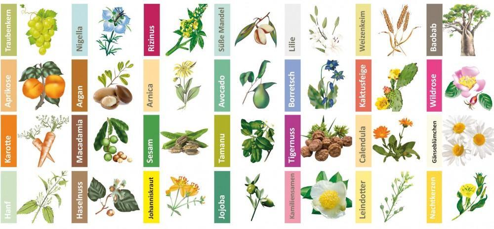 Johanniskraut-&Ouml;l (50 ml)