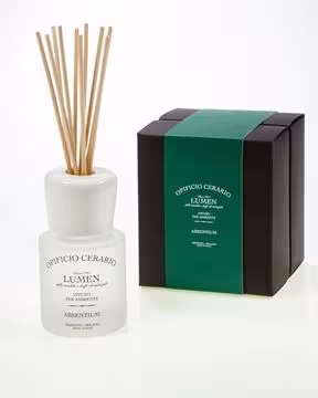 Diffusor als Raumduft (100 ml)