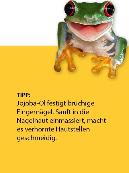 Jojoba &Ouml;l (50 ml)