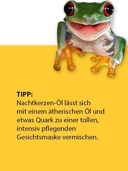 Nachtkerzenöl (50 ml)