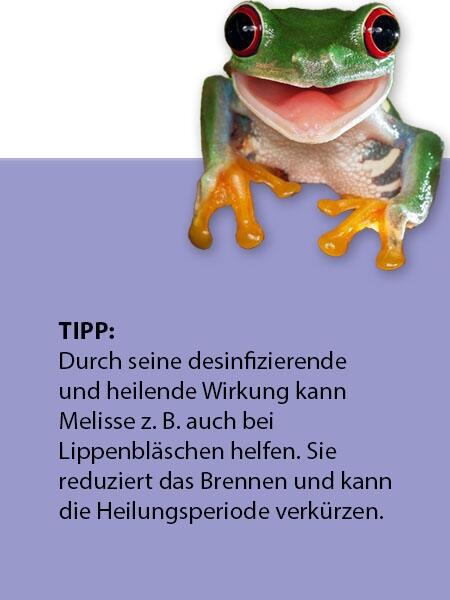 Zitronenmelissen Blütenwasser (250 ml)