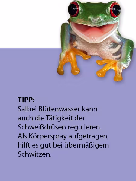 Salbeiwasser (250 ml)