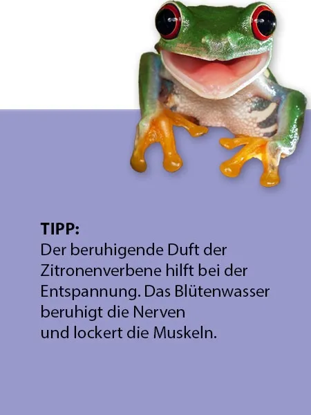 Zitronenverbene Wasser (250 ml)