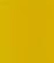 Trauben Vanille Essig - gold gelbe Farbe