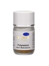 Polyminol Kapseln natürliche Multivitamine