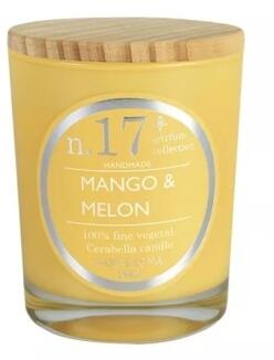 Kerze Nr.17 Mango & Melon 180g