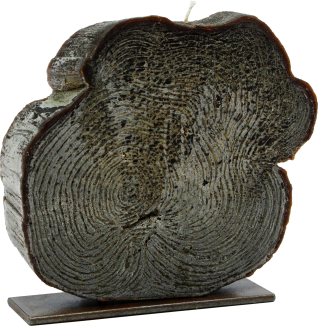 Dekorative Duftkerze Cedernholz - Holzscheibe