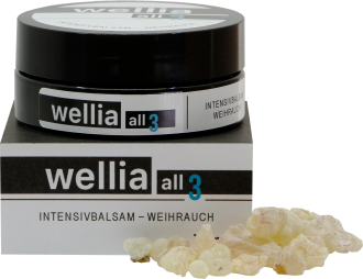 Wellia Intensivbalsam