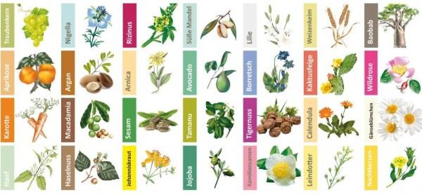 Haut_Segala_Oele_Uebersicht_icon_6_l