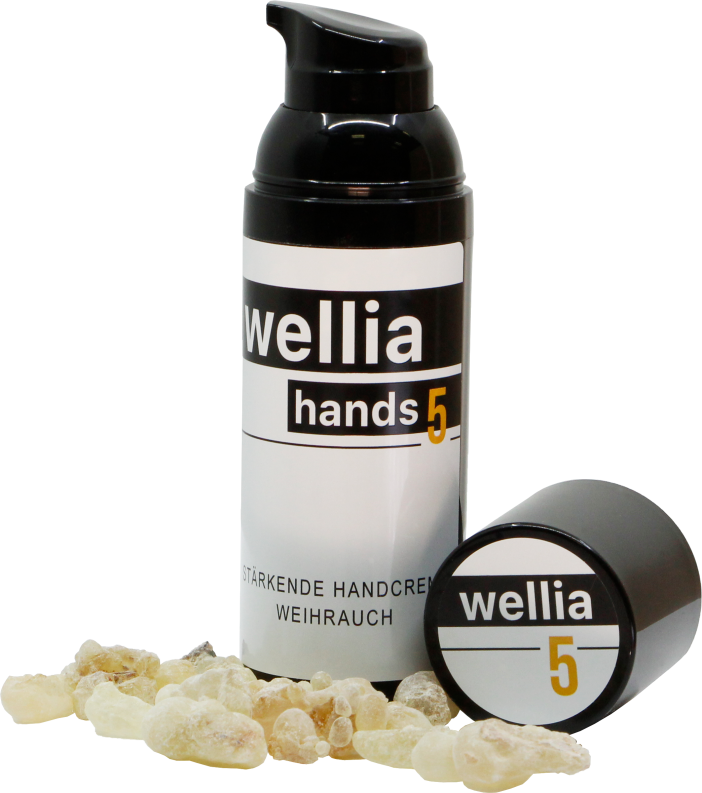wellia Handpflege Set